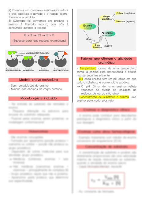 Solution Enzimas E Cin Tica Enzim Tica Studypool