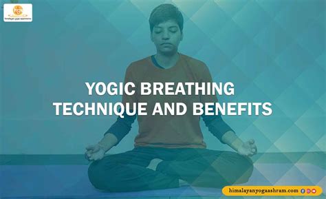 Yogic Breathing Technique And Benefits Himalayan Yoga Association