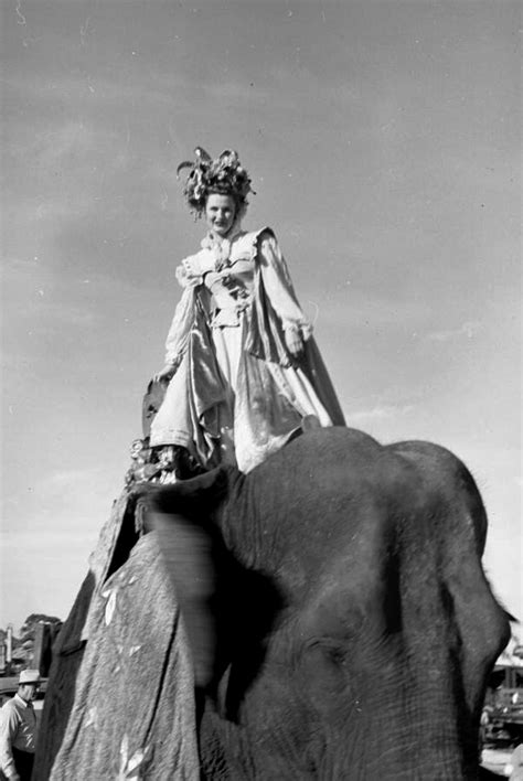 Florida Memory • Circus Performer In Costume Standing On Top Of An Elephant In Sarasota Florida