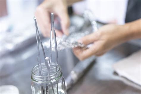 Plant Tissue Culture Techniques in Laboratory. Stock Photo - Image of ...