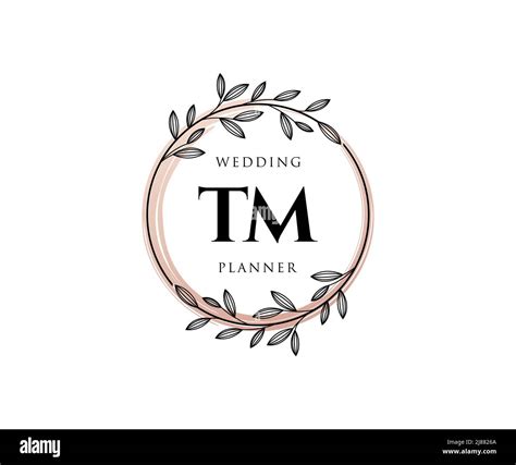 Tm Initials Letter Wedding Monogram Logos Collection Hand Drawn Modern