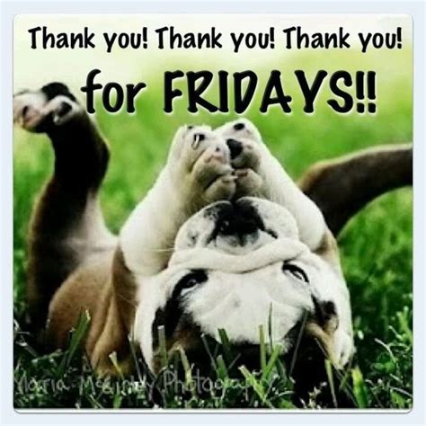 Thank You For Friday Friday Happy Friday T Good Morning Friday