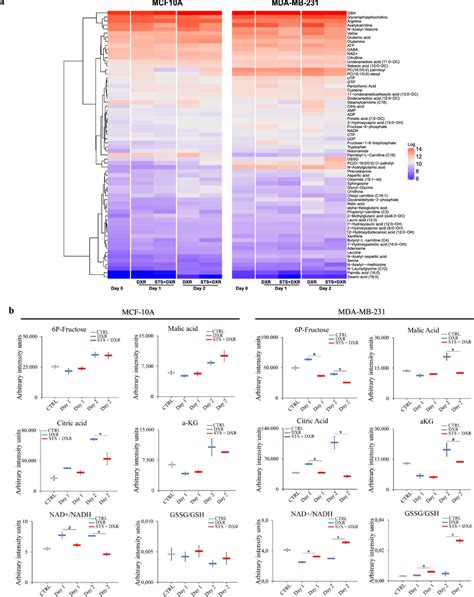 Combined Starvation And Doxorubicin Treatment Induces Differential Download Scientific Diagram