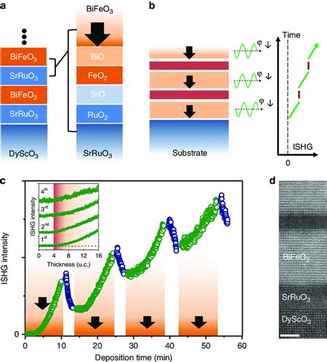 Engineering Ferroelectric Multilayers With User Defined Up Down