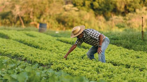 La importancia de la conservación del agua en la agricultura y cómo