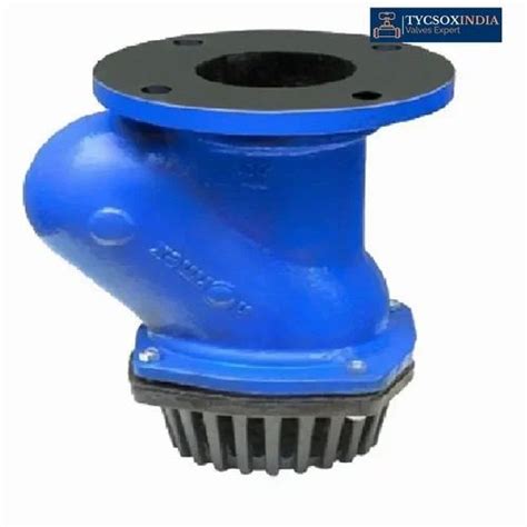 Blue Cast Iron Normex B 05 N Ball Foot Valve Flanged Size 150 Mm