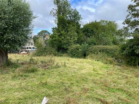 No Cattle On Sheep S Green Mr Ignavy Cc By Sa 2 0 Geograph Britain