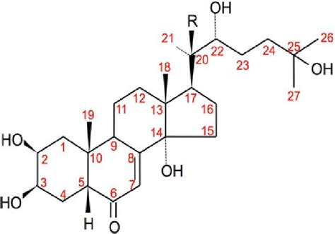 Structures Of Ecdysone R H And Hydroxyecdysone R Oh Showing