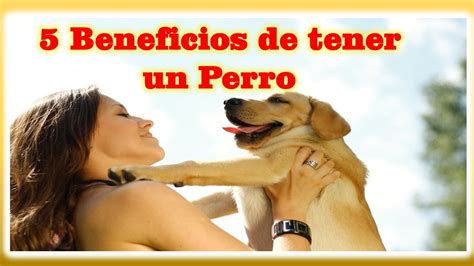 5 Beneficios De Tener Un Perro Youtube