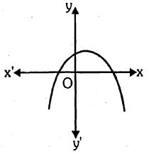 The Graph Of Y P X Is Given In The Figure Above Some Polynomials P X