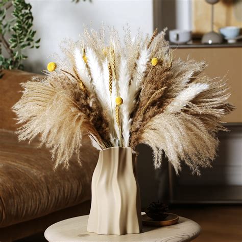 Prikpont Pcs Dried Pampas Grass Decor Natural Dried Pampas Reed