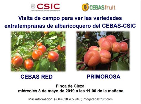 Grado En Ingenier A Agroalimentaria Y Agroambientalvisita De Campo Para