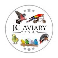 Breeders Reviews :: JC Aviary, Austin, TX