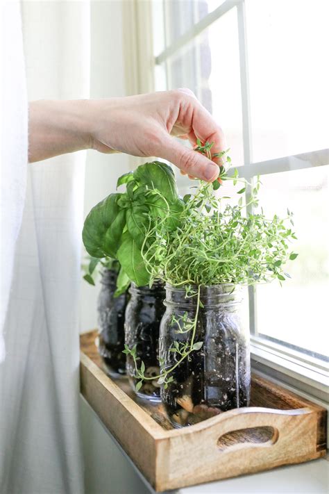 How To Make A Mason Jar Herb Garden Hello Nest