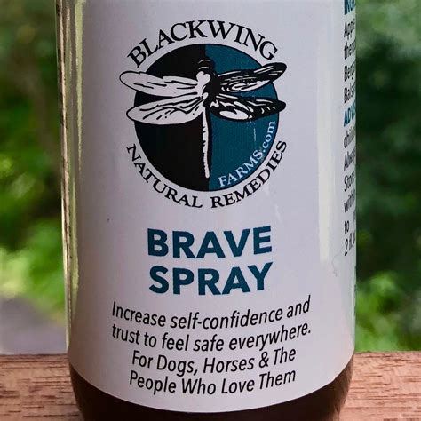 Brave Balm Spray To Feel Safe Everywhere Blackwing Farms