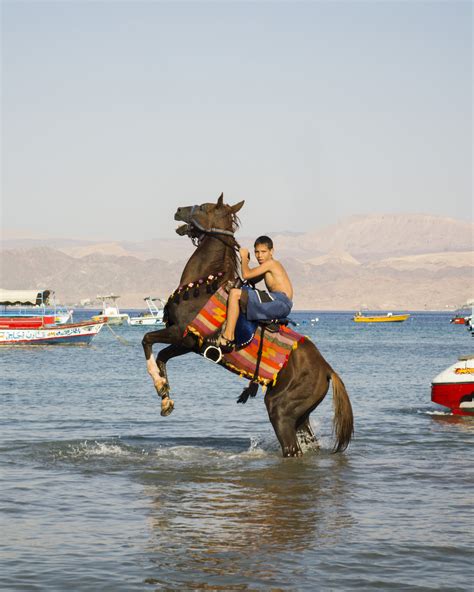 City Guide: Aqaba, Jordan - V Magazine