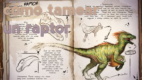 Cómo Domésticar Un Raptor Fácil Y Rápido Ark Mobile4guía Para