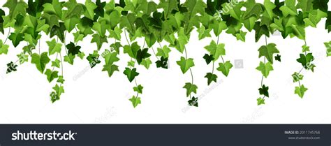 4826 Ivy Vector Border Images Stock Photos And Vectors Shutterstock