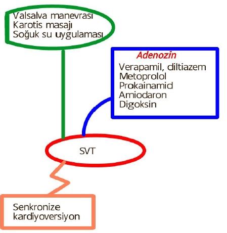 SVT ve Adenozin Kullanımı Acilci Net