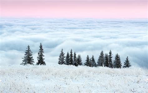 Cloud Hd Sea Of Clouds Rare Gallery Hd Wallpapers