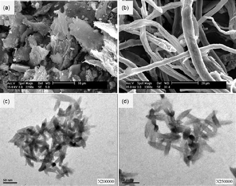 Sem Micrographs Of The A Raw Rice Straw And B The Delignified Rice