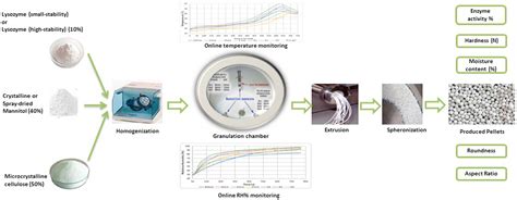 Effect Of Processing Conditions And Material Attributes On The Design Space Of Lysozyme Pellets