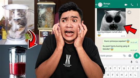 Di Kejar Hantu Kucing Youtube