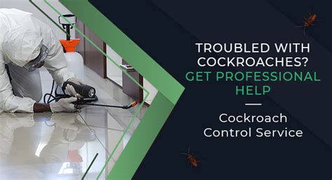 Book Cockroach Control 1x Service Near You At Best Price Hicare