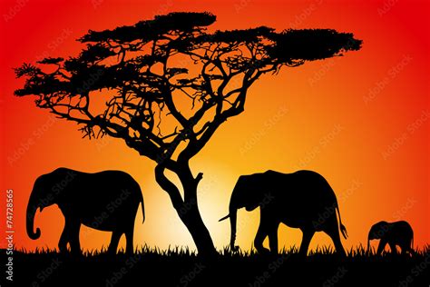 Elephant Silhouette Sunset