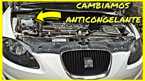 Como Cambiar Anticongelante Seat Leon Youtube