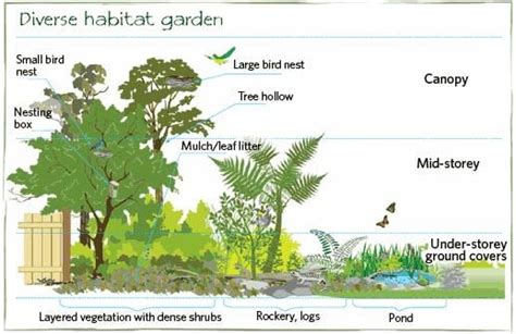 Landscaping with a Purpose – What’s Diversity Got To Do with It ...