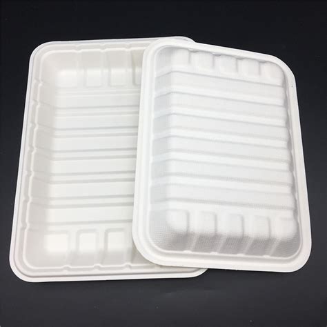 Compostable Big Meat Tray Made From Biodegradable Sugarcane Pulp