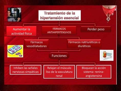 Función Dominante De Los Riñones En El Control A Largo Plazo De La Presión Arterial Y En La