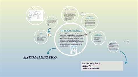 Educaci N Escolar Comandante Peor Sistema Linfatico Humano Mapa