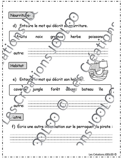 Criture Descriptive Dirig E Perroquet De Pirate