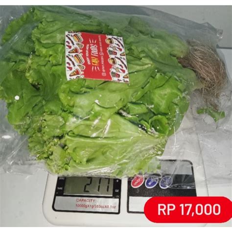 Jual Selada Hidroponik Gr Indonesia Shopee Indonesia