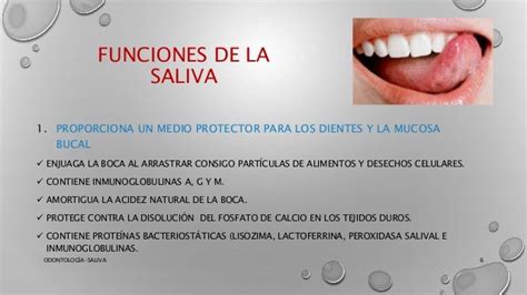 Saliva Odontología