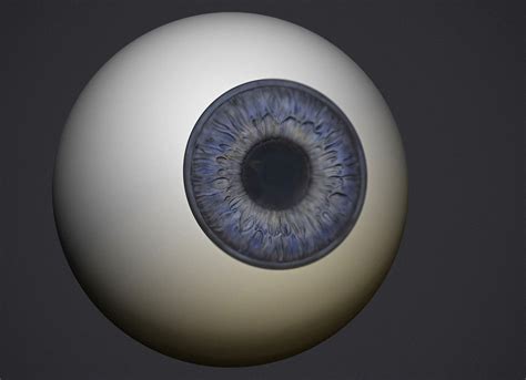 Human Eye 3d Model 3d Printable Cgtrader