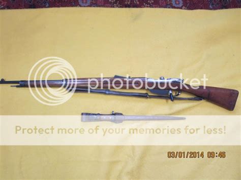 Rarity of Dutch m95 mannlicher rifles?