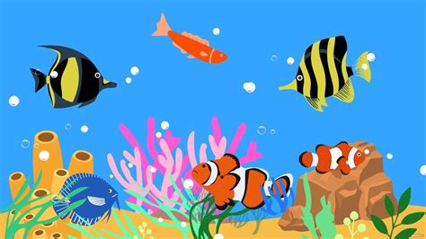 Aquarium Background Clipart Images