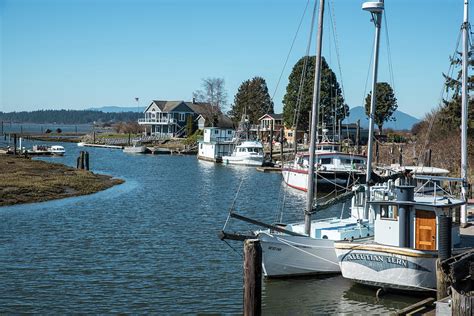 Samish River Boats Photograph By Tom Cochran Fine Art America