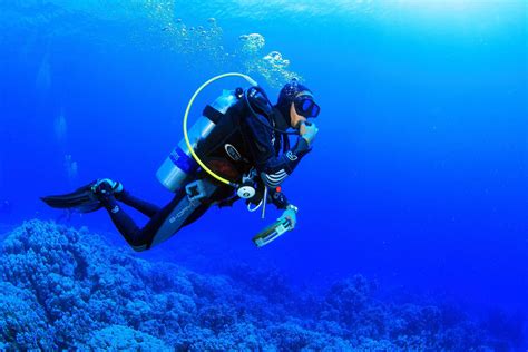 Scuba Diving Wallpapers Wallpapers