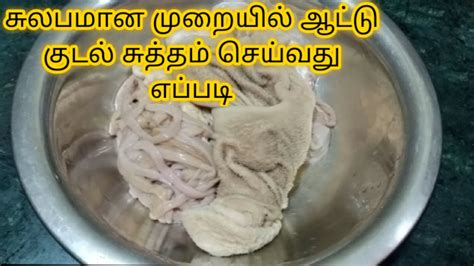 ஆட்டு குடல் சுத்தம் செய்வது எப்படி How To Clean Goat Intestine Goat Boti Cleaning In Tamil