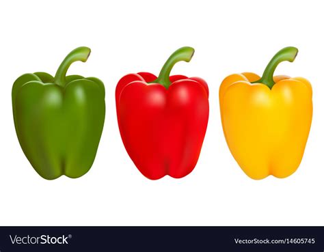 Set of red green and yellow peppers Royalty Free Vector