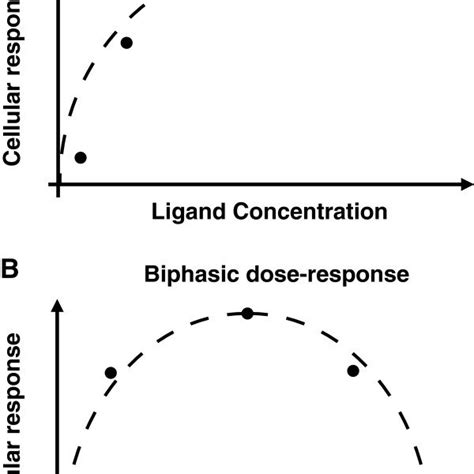 Mechanism of biphasic response. A). Schematic of the model explaining... | Download Scientific ...