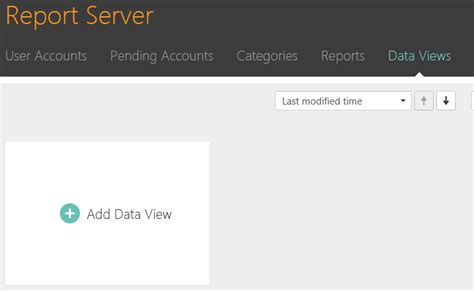 managing data views   report server