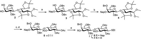 Synthesis Of A Lewis B Hexasaccharide Thioglycoside Donor And Its Use