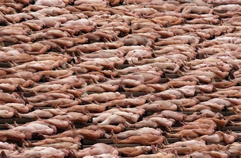 The Naked World Of Spencer Tunick The Atlantic