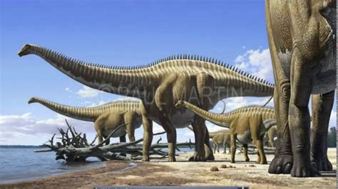 Sauropods – The Largest Known Land Animals | Science Facts