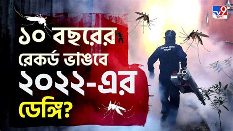 Dengue গত দশ বছরের রেকর্ড কি ভেঙে দেবে এবারের ডেঙ্গি সংক্রমণ বাড়ছে আশঙ্কা Bengali News